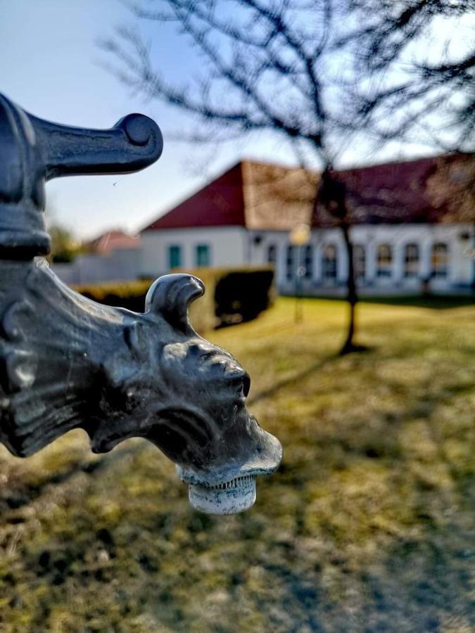 Отель Ginti Panzio, Orseg Magyarszombatfa Экстерьер фото